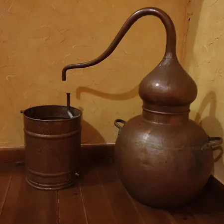 Casaruraltiarosa *